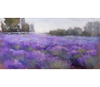 Deborah Henderson Pastel